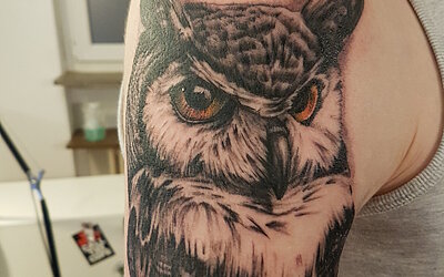 Eule als Realistic Tattoo 