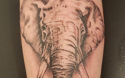 Elefanten Tattoo auf dem Unterarm 