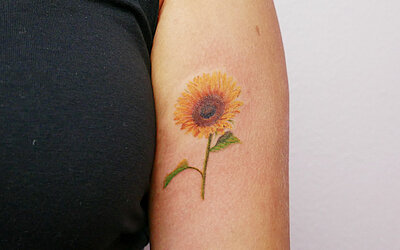 realistic tattoo, Sonnenblume, Armtattoo