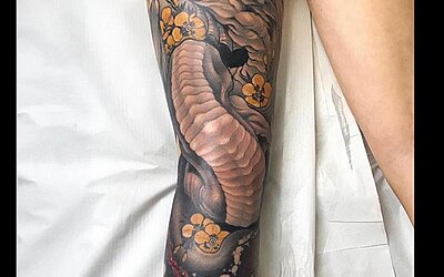 Leg Sleeve