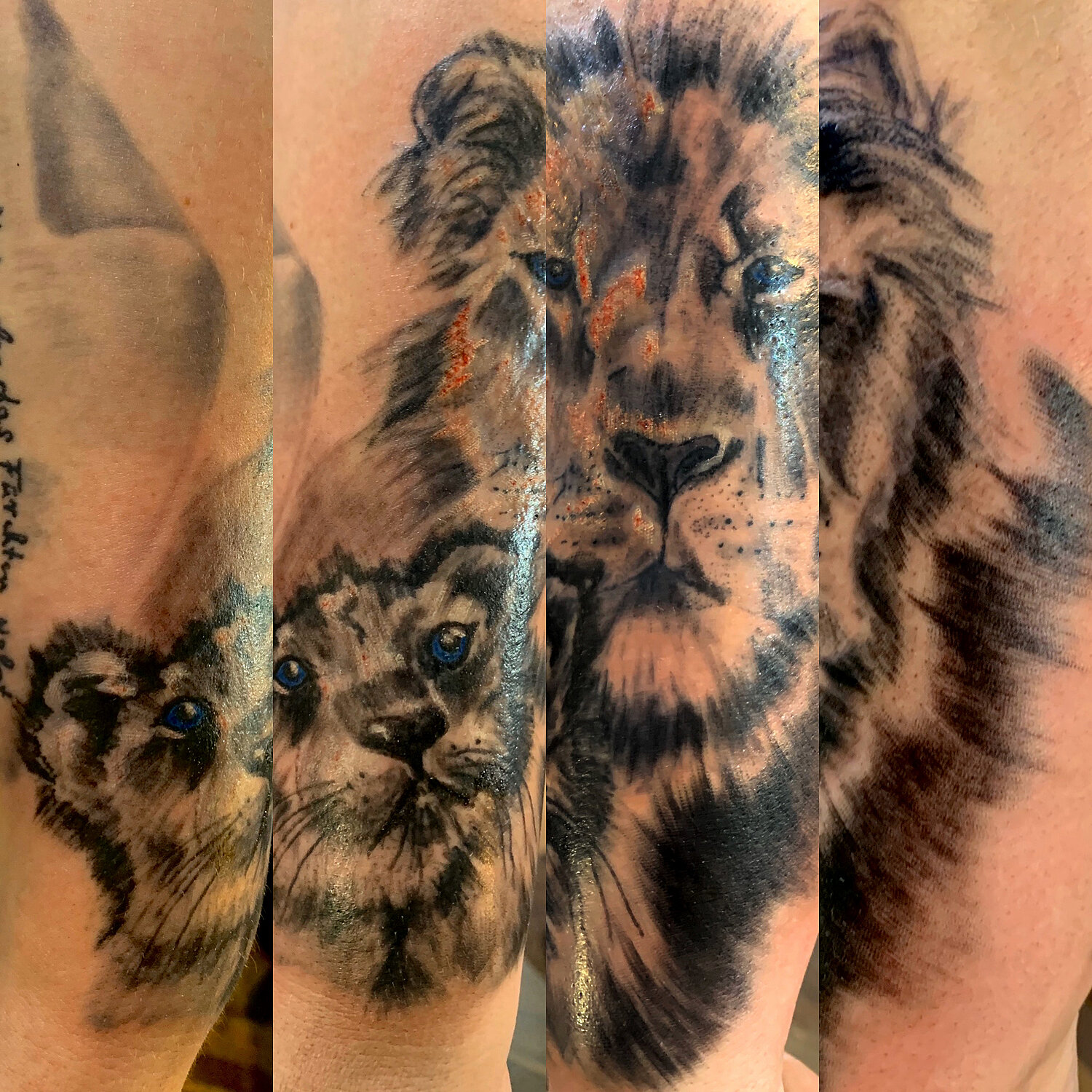 MyTattoo.com | Studio | 14 Needles Tattoo