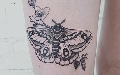 Schmetterling Tattoo