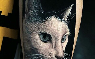 Realistic cat on the arm