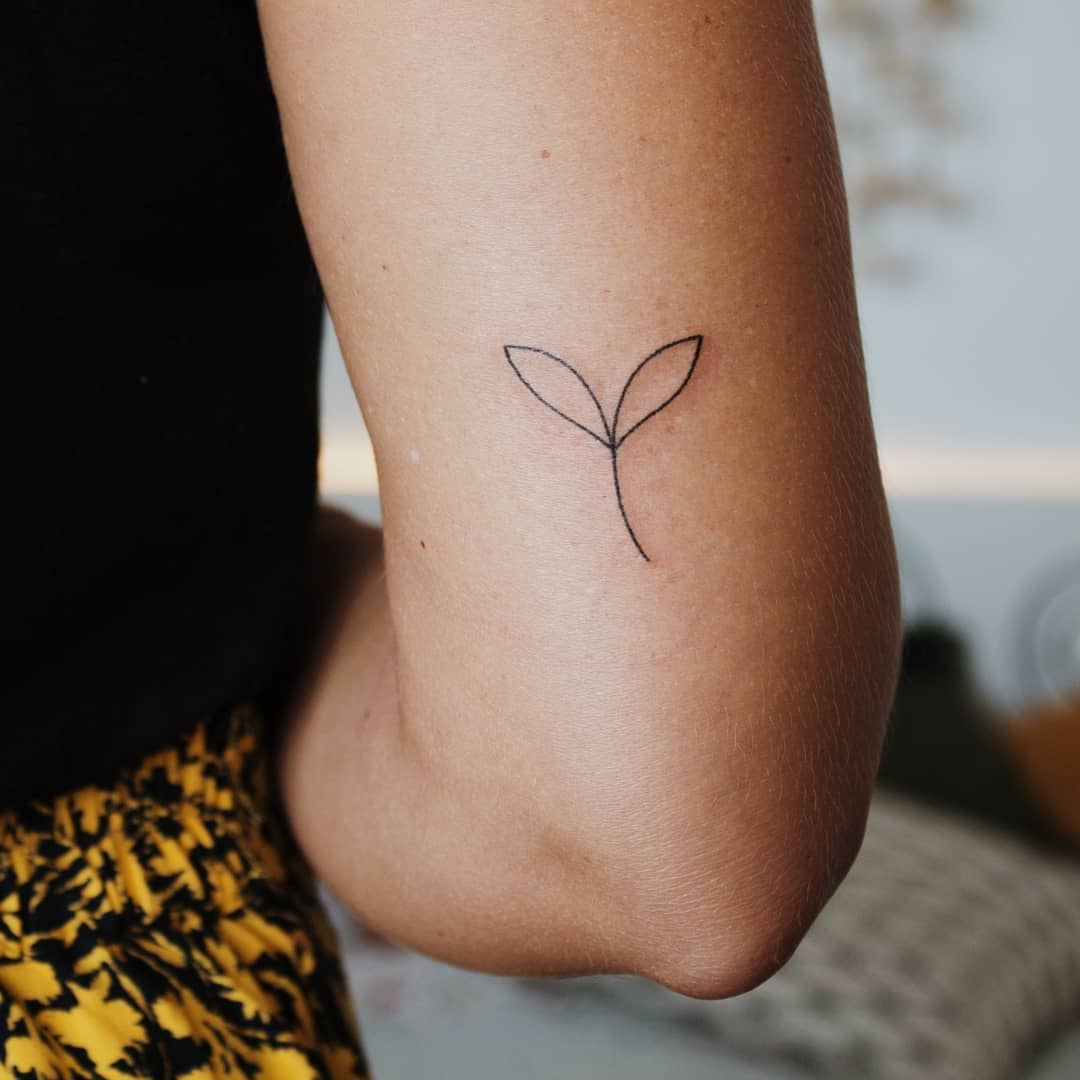 Tattoo of a tanoak seedling Notholithocarpus densiflorus  Tattoos  Metamorphosis tattoo Roots tattoo